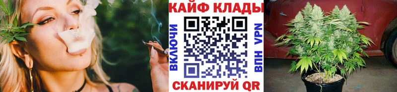 Галлюциногенные грибы Нахабино