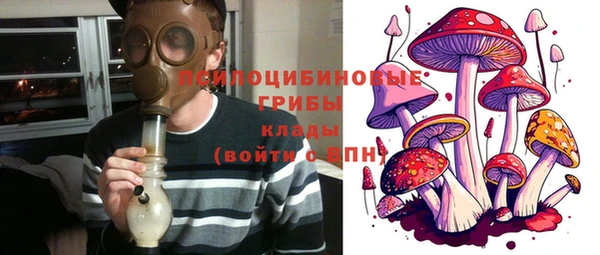 гидропоника Кодинск